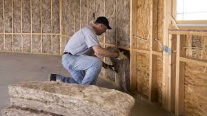 Best Crawl Space Insulation  in Orida Ridge, FL